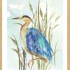 Poster με κορνίζα Wilson Aimee – Little Blue Heron