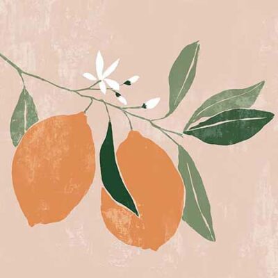 Aria K – Orange Branch I