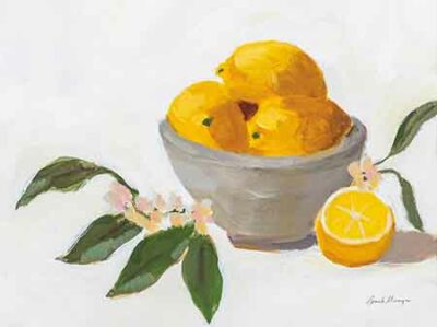 Munger Pamela - Lemons in Grey Bowl