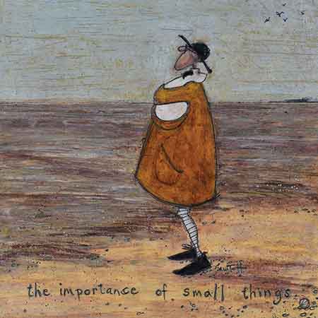 Toft Sam - The Importance Of Small Things