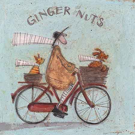 Toft Sam - Ginger Nuts