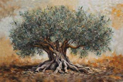 Sienna – Olive Tree I