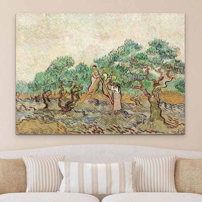 Vincent Van Gogh – The Olive Orchard