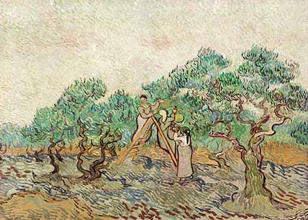 Vincent Van Gogh - The Olive Orchard